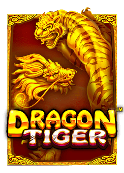 วิธีเล่น joker มา ใหม่ ให้สนุกและชนะง่าย